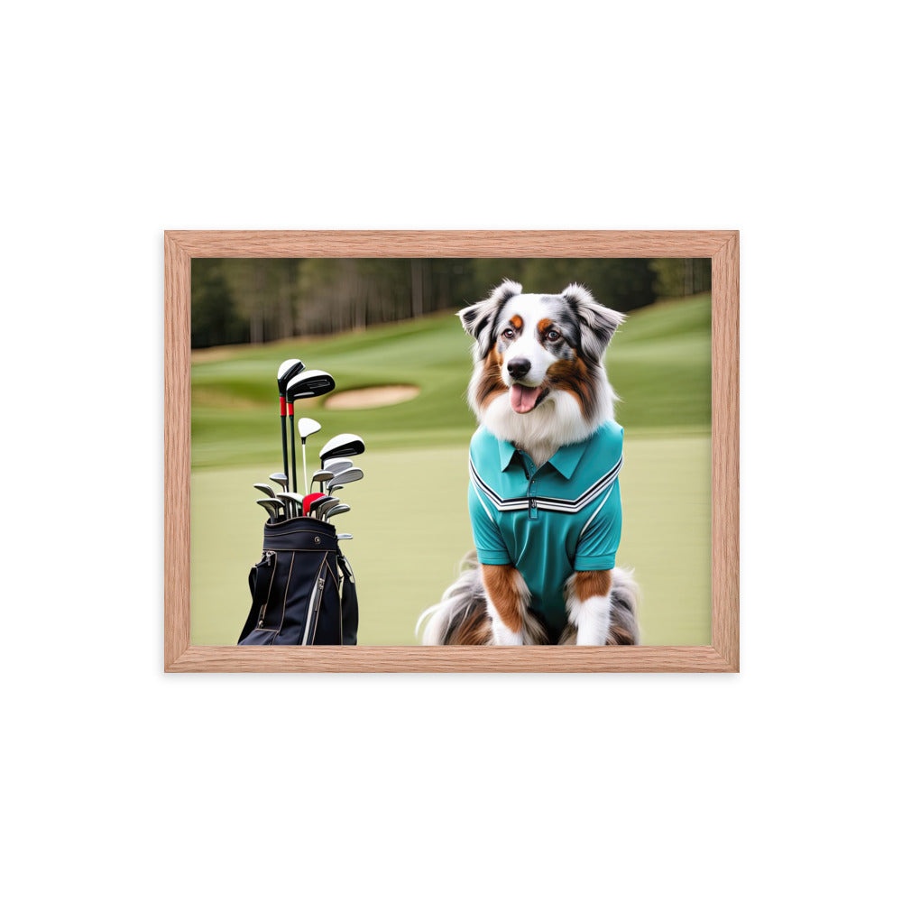 Australian Shepherd Golfer- Framed poster v4