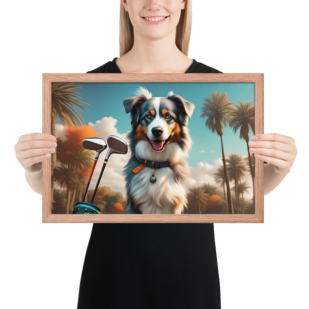 Australian Shepherd Golfer- Framed poster v2