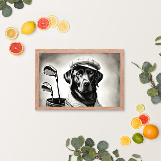 Framed poster-Labrador Retriever Golfer V11