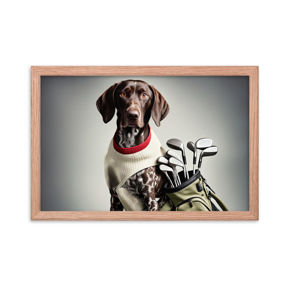 German Shorthaired Pointer Golfer- Framed poster v4