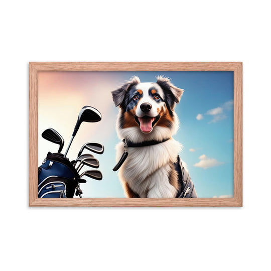 Australian Shepherd Golfer- Framed poster