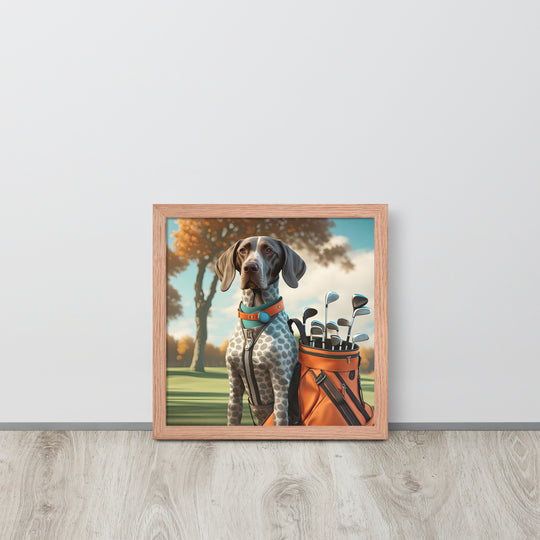 German Shorthaired Pointer Golfer- Framed poster