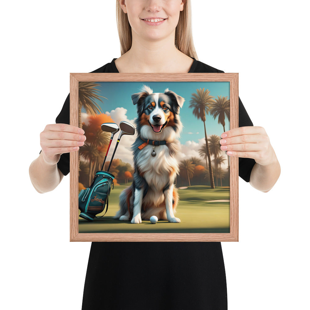 Australian Shepherd Golfer- Framed poster v2