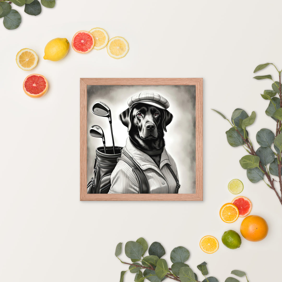 Framed poster-Labrador Retriever Golfer V11