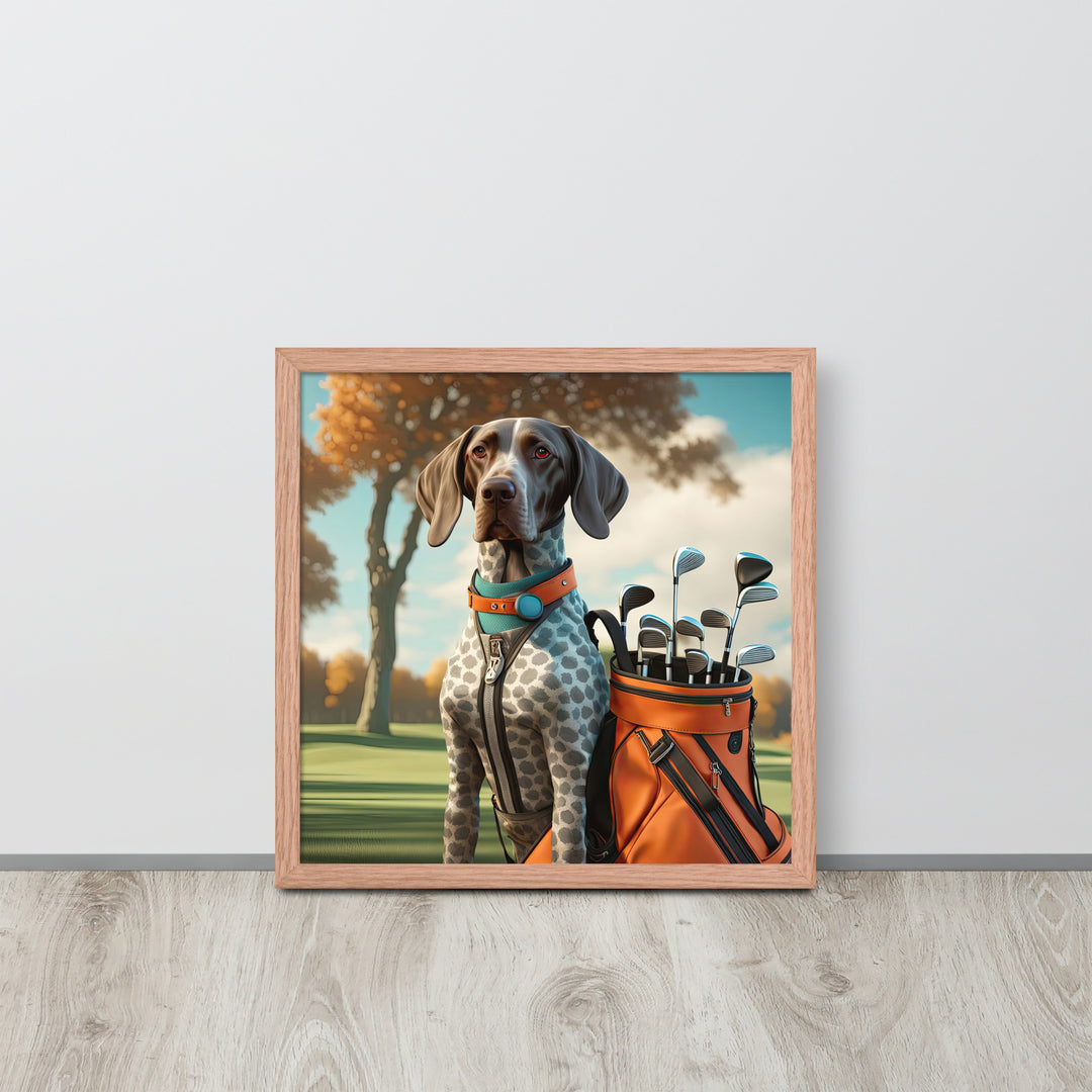 German Shorthaired Pointer Golfer- Framed poster