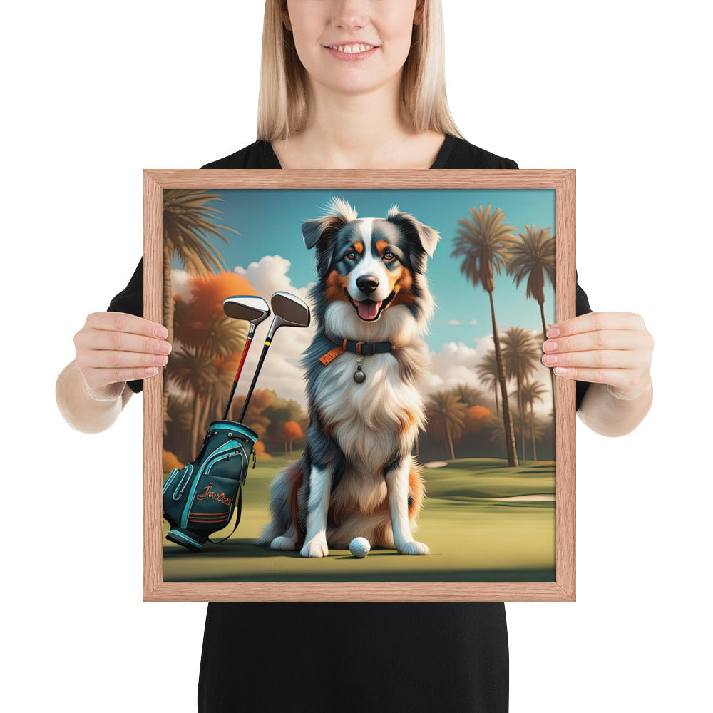 Australian Shepherd Golfer- Framed poster v2