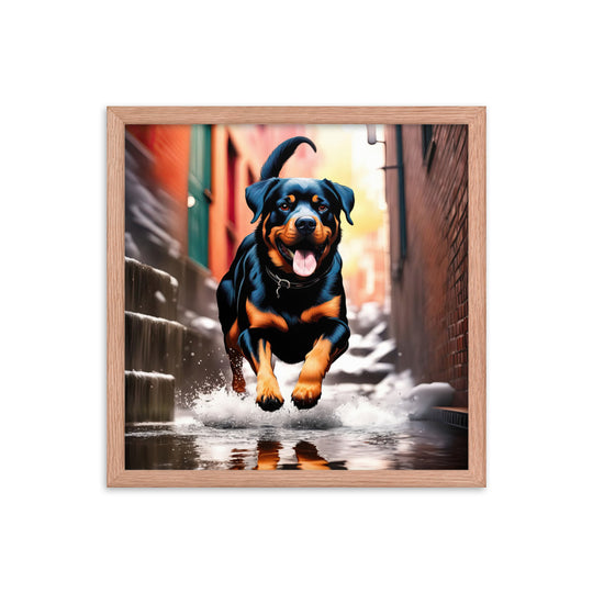 Rottweiler- Framed poster v2