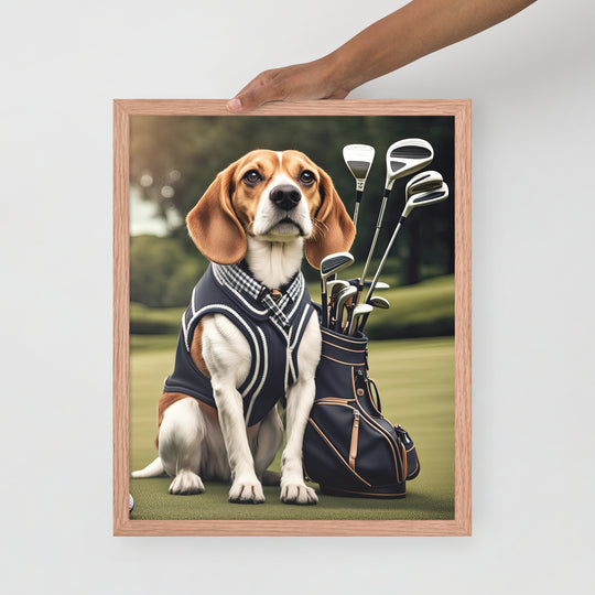 Beagle Golfer- Framed poster