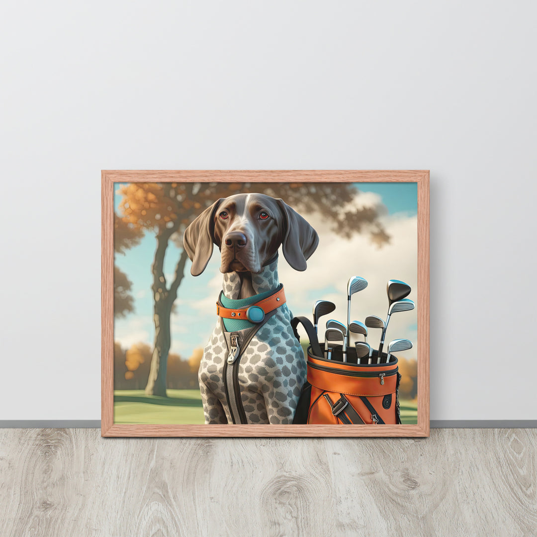 German Shorthaired Pointer Golfer- Framed poster