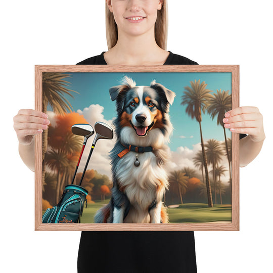 Australian Shepherd Golfer- Framed poster v2