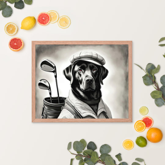 Framed poster-Labrador Retriever Golfer V11