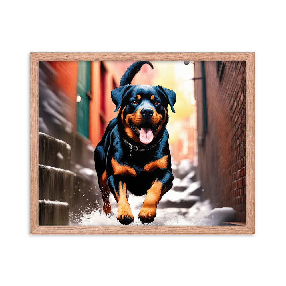 Rottweiler- Framed poster v2