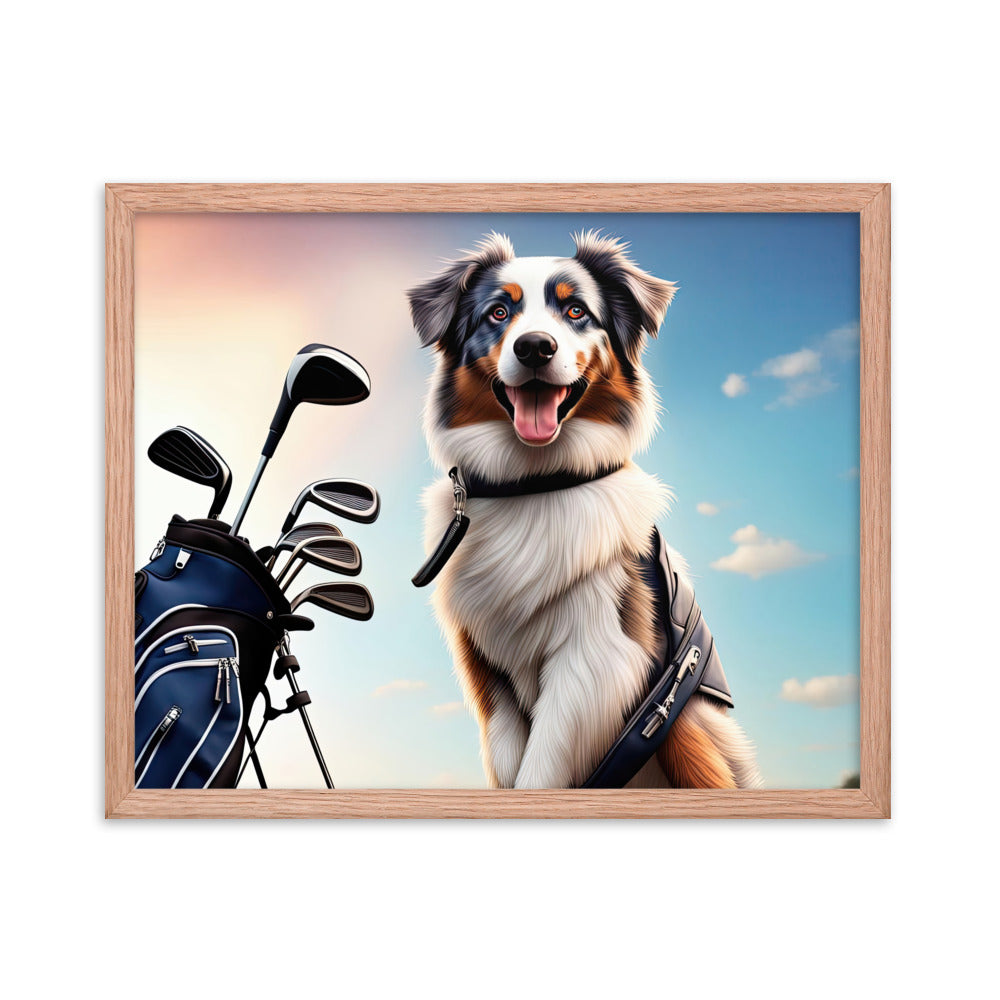 Australian Shepherd Golfer- Framed poster