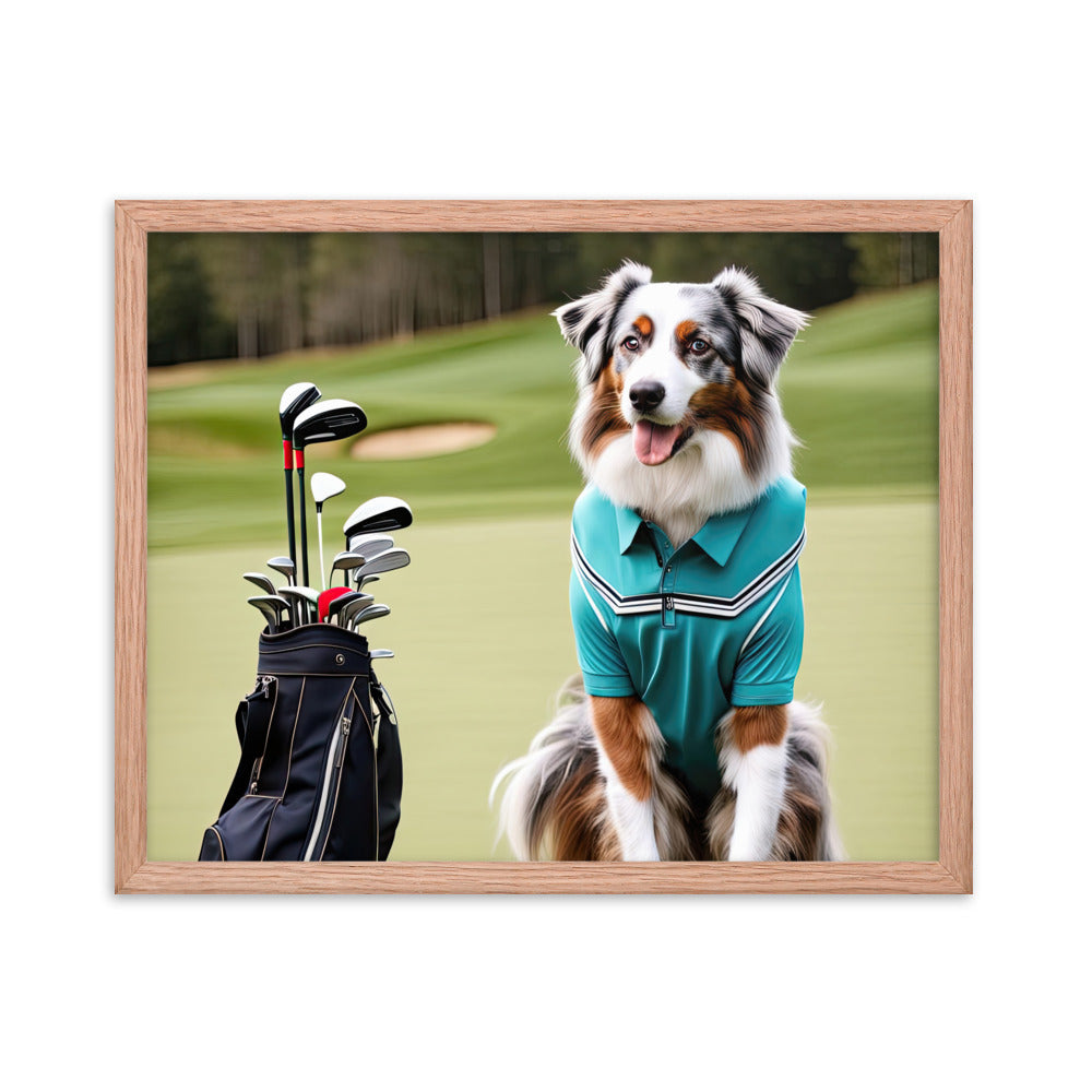 Australian Shepherd Golfer- Framed poster v4