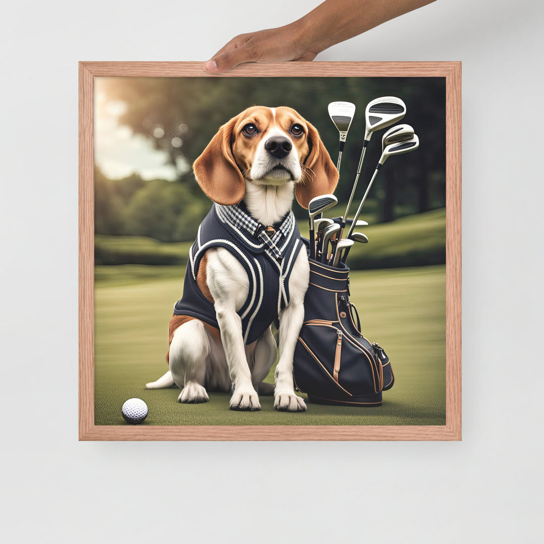 Beagle Golfer- Framed poster