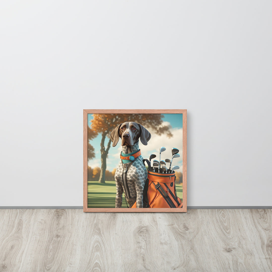 German Shorthaired Pointer Golfer- Framed poster