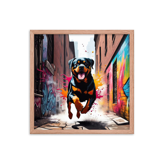 Rottweiler- Framed poster v5