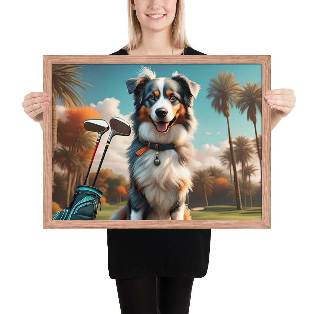 Australian Shepherd Golfer- Framed poster v2