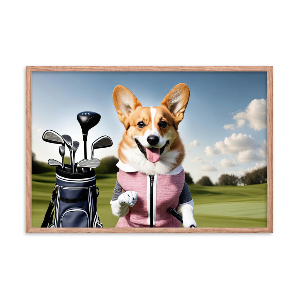 Pembroke Welsh Corgi Golfer- Framed poster v5