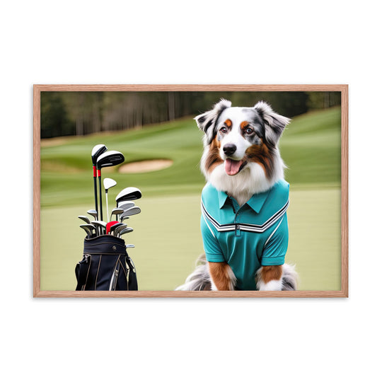 Australian Shepherd Golfer- Framed poster v4