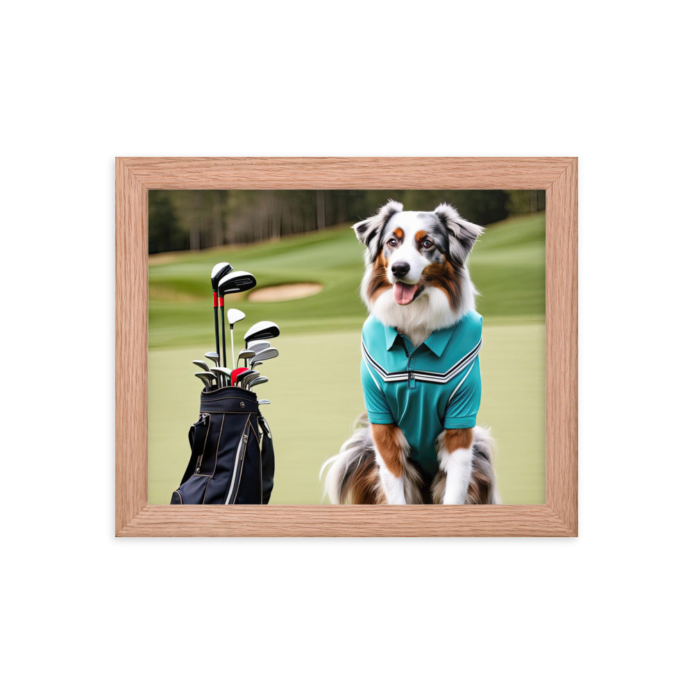 Australian Shepherd Golfer- Framed poster v4