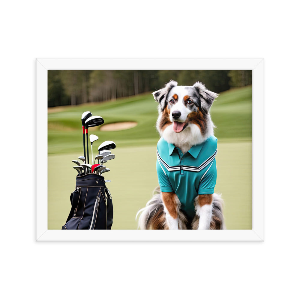 Australian Shepherd Golfer- Framed poster v4