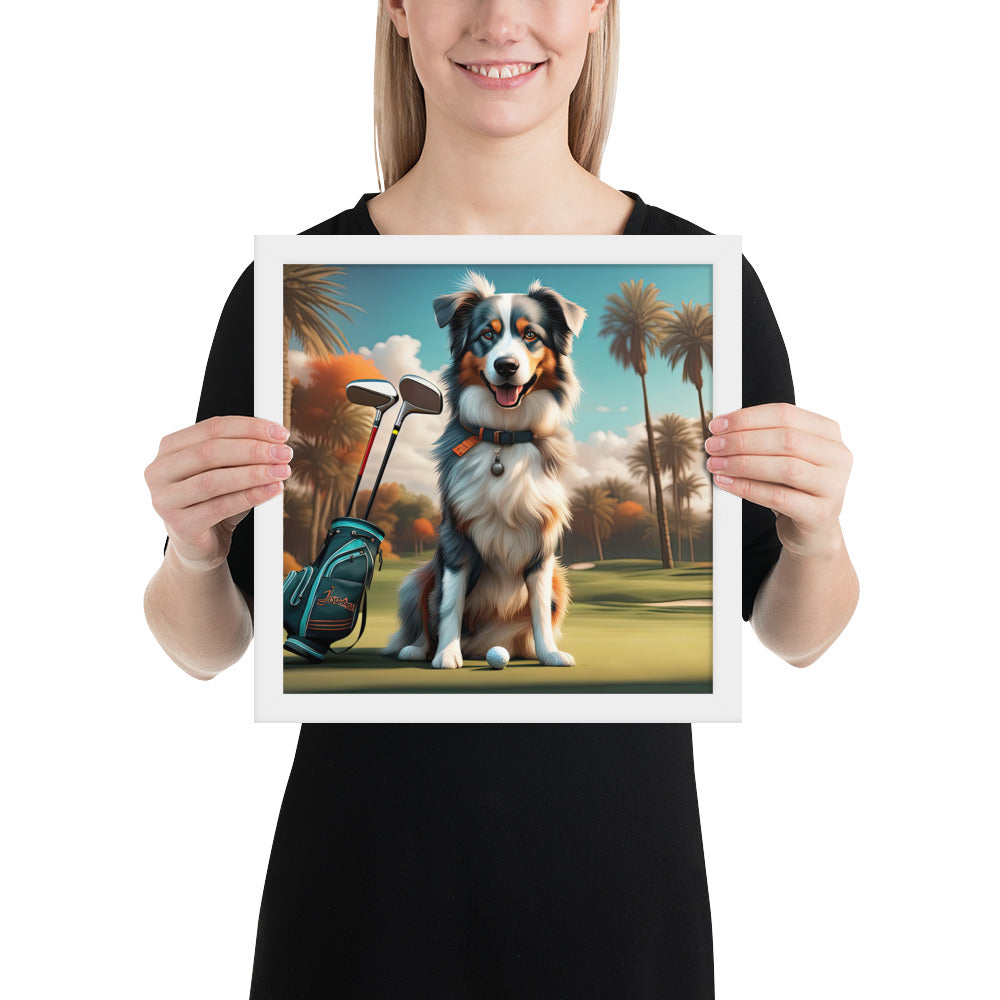 Australian Shepherd Golfer- Framed poster v2