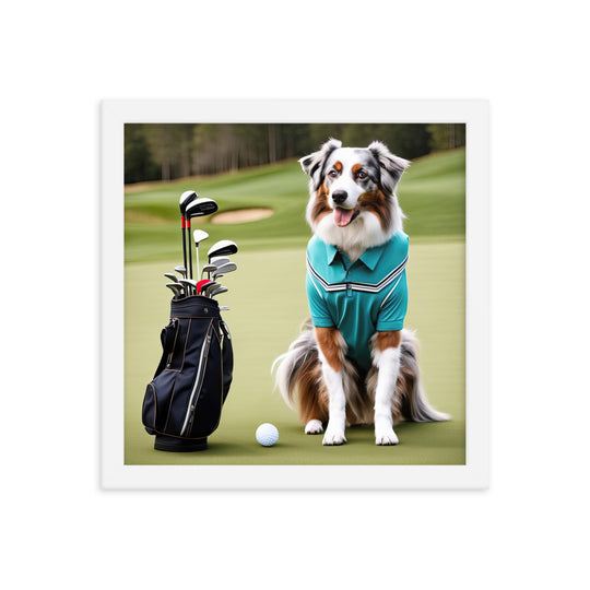 Australian Shepherd Golfer- Framed poster v4