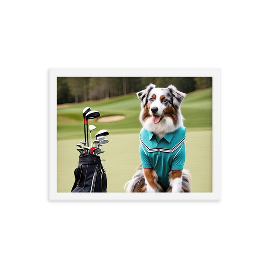 Australian Shepherd Golfer- Framed poster v4