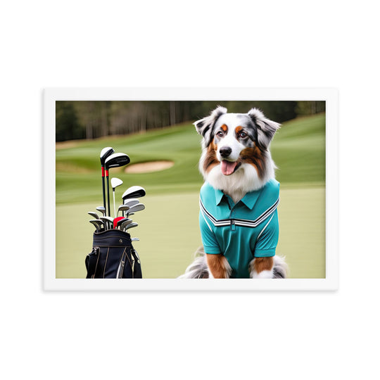 Australian Shepherd Golfer- Framed poster v4