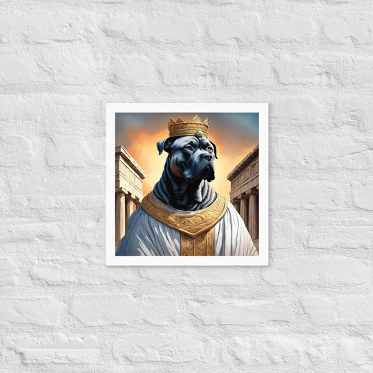 Framed poster-Cane Corso V2