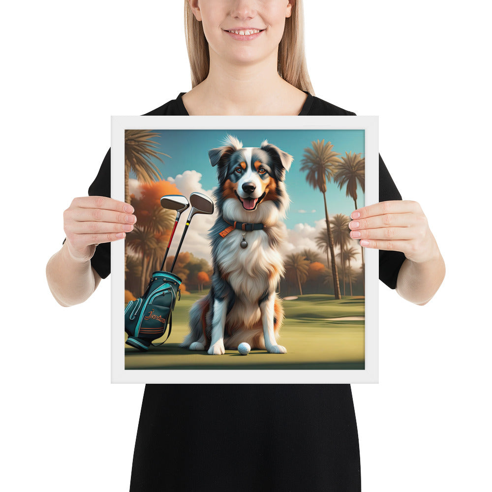 Australian Shepherd Golfer- Framed poster v2