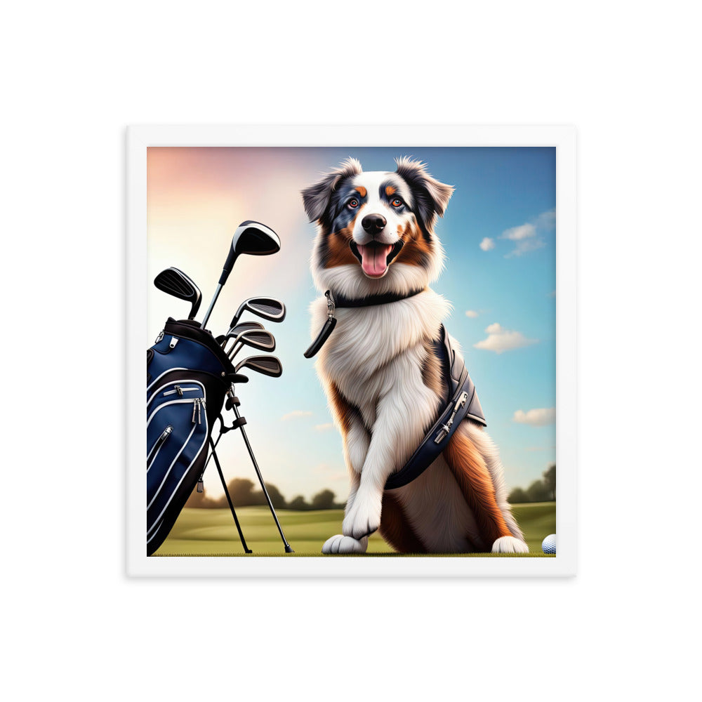 Australian Shepherd Golfer- Framed poster