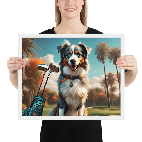 Australian Shepherd Golfer- Framed poster v2