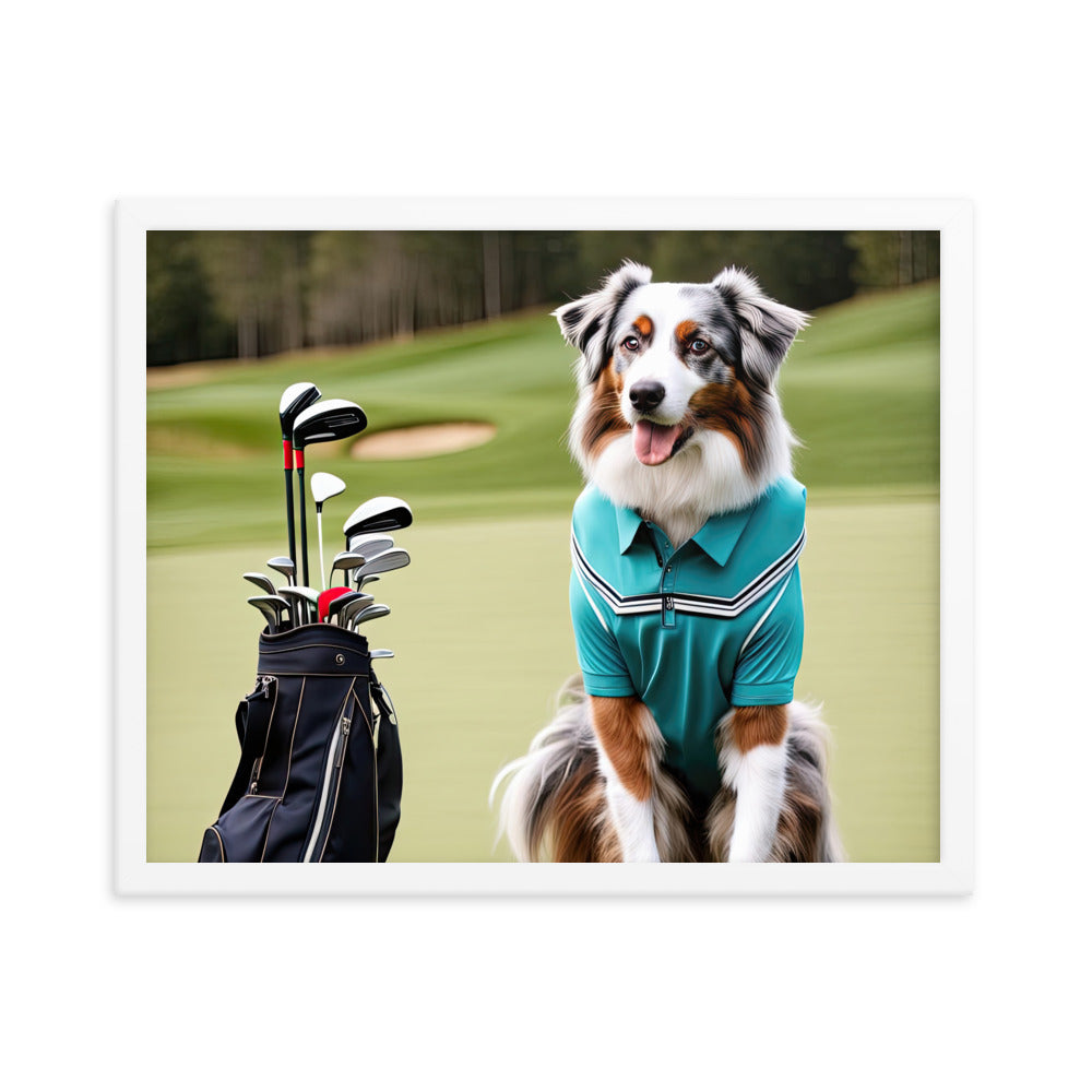 Australian Shepherd Golfer- Framed poster v4