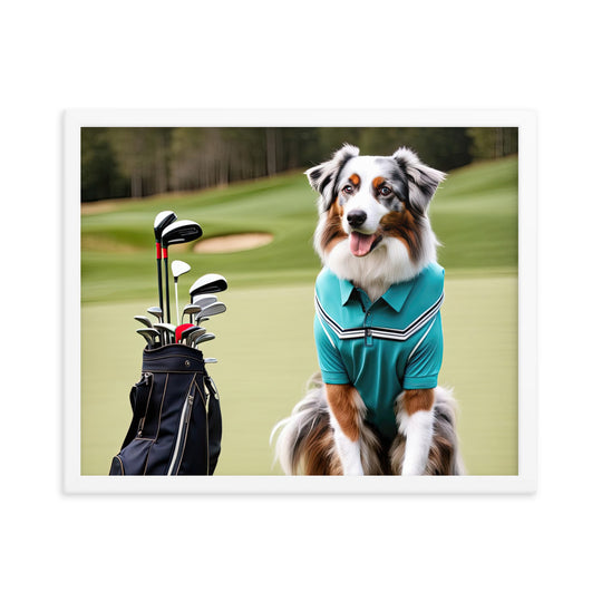 Australian Shepherd Golfer- Framed poster v4