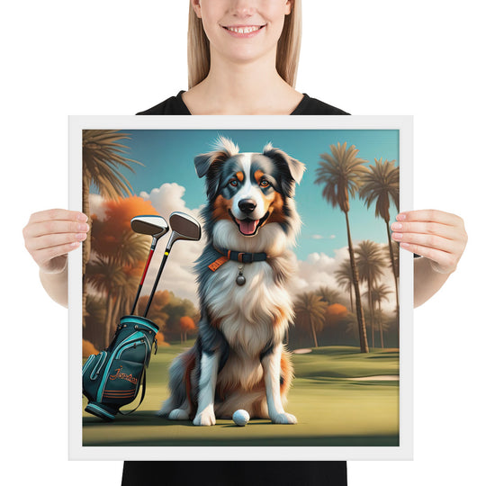 Australian Shepherd Golfer- Framed poster v2