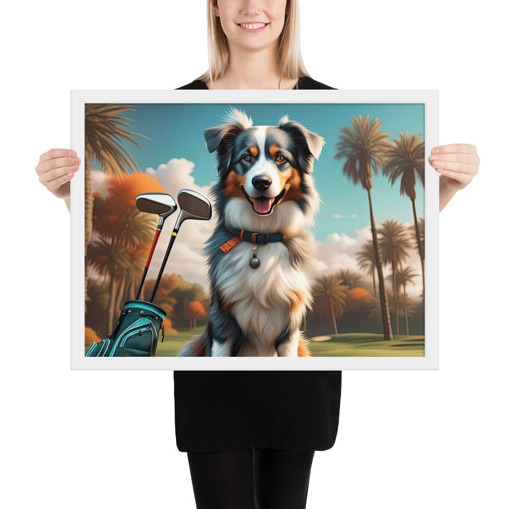 Australian Shepherd Golfer- Framed poster v2