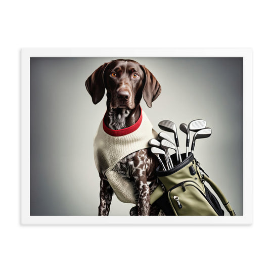 German Shorthaired Pointer Golfer- Framed poster v4