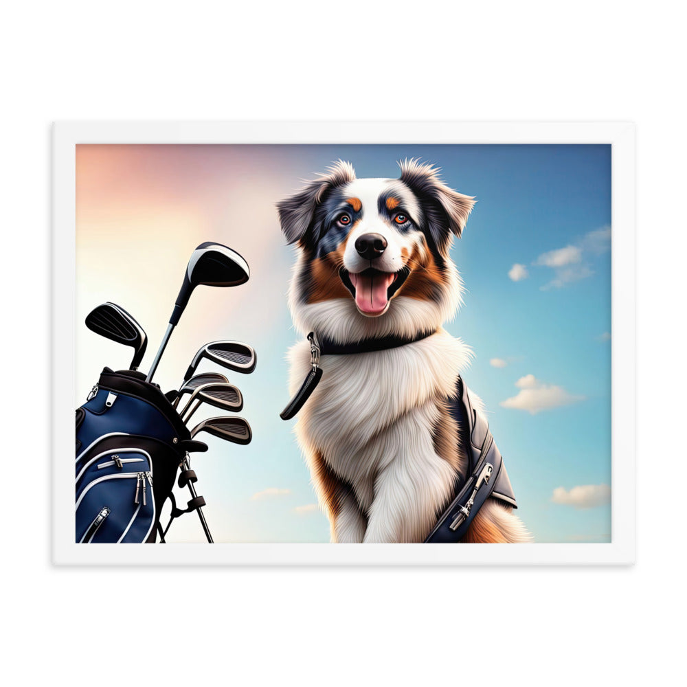 Australian Shepherd Golfer- Framed poster