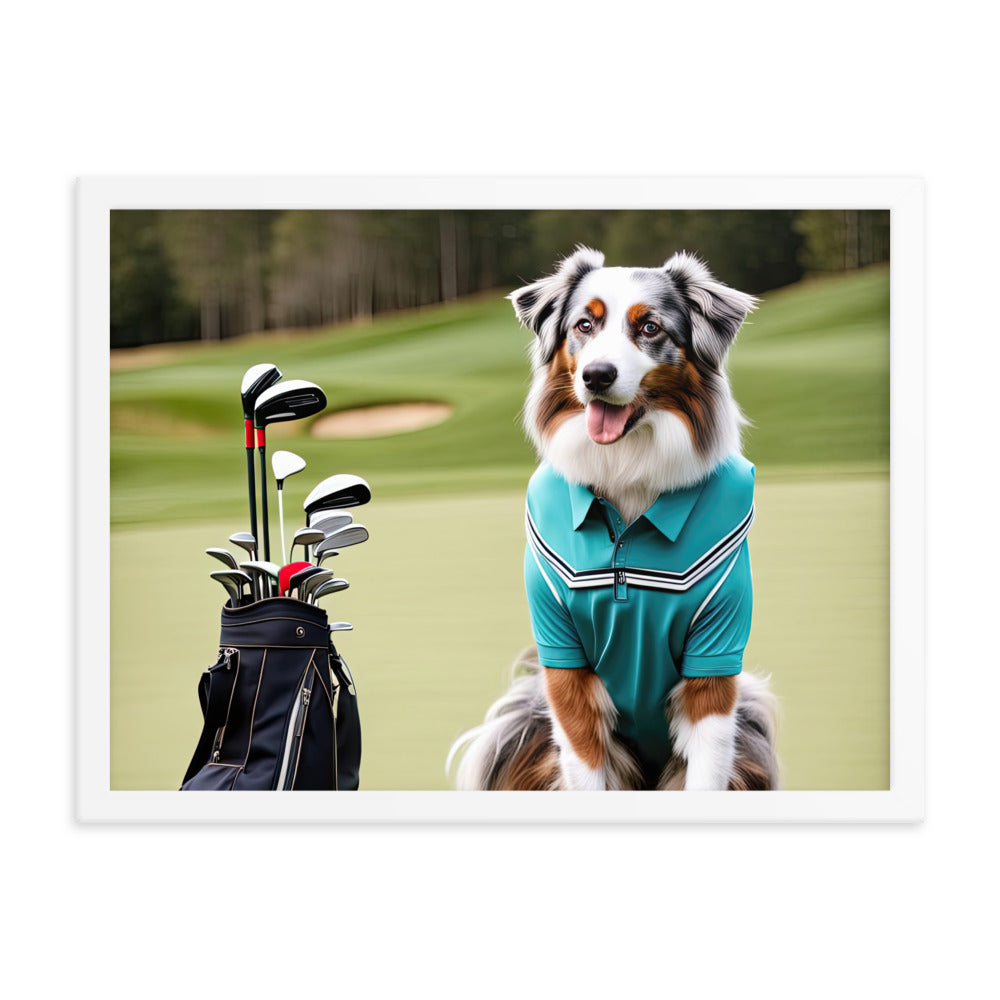 Australian Shepherd Golfer- Framed poster v4