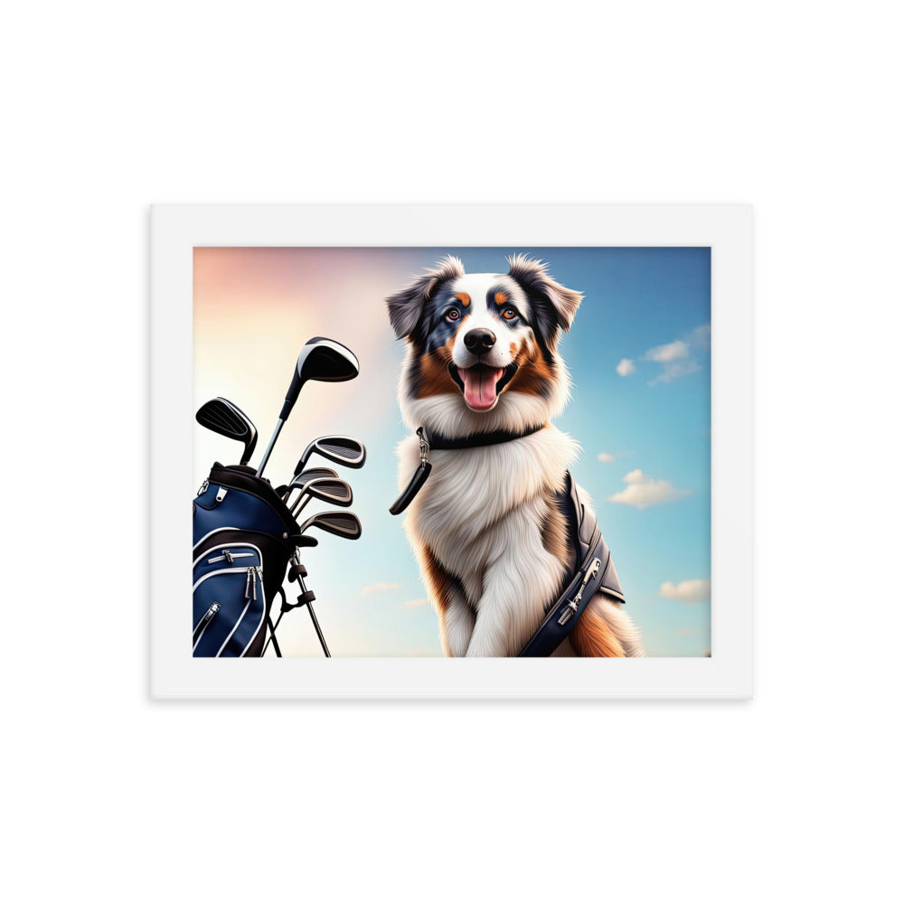 Australian Shepherd Golfer- Framed poster