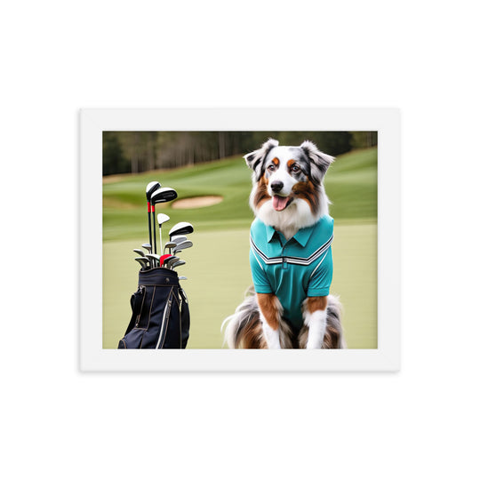 Australian Shepherd Golfer- Framed poster v4