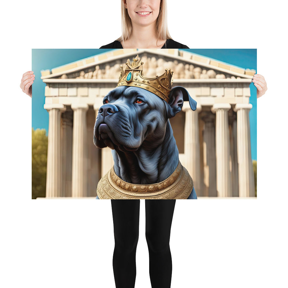 Poster-Cane Corso