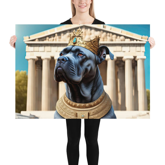 Poster-Cane Corso