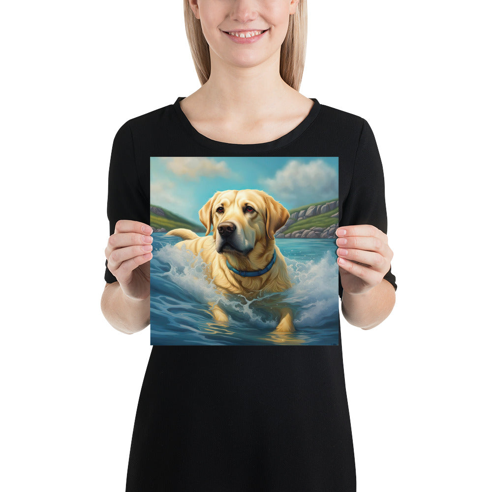 Poster-Labrador Retriever V2