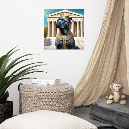 Poster-Cane Corso