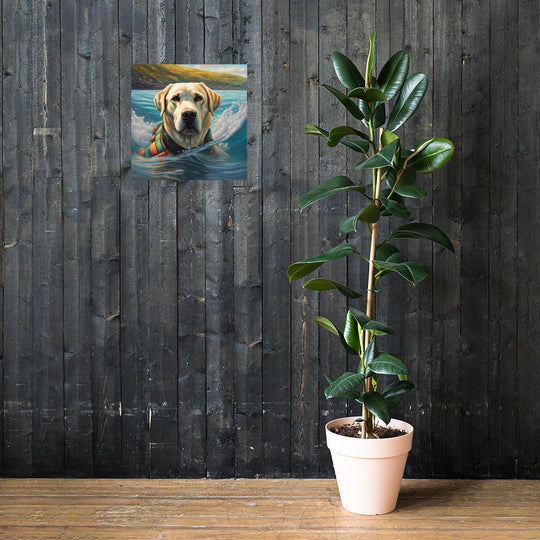 Poster-Labrador Retriever V4