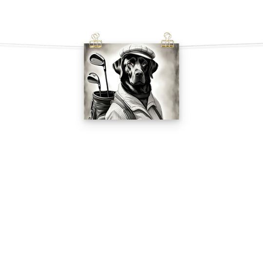 Poster-Labrador Retriever Golfer V11