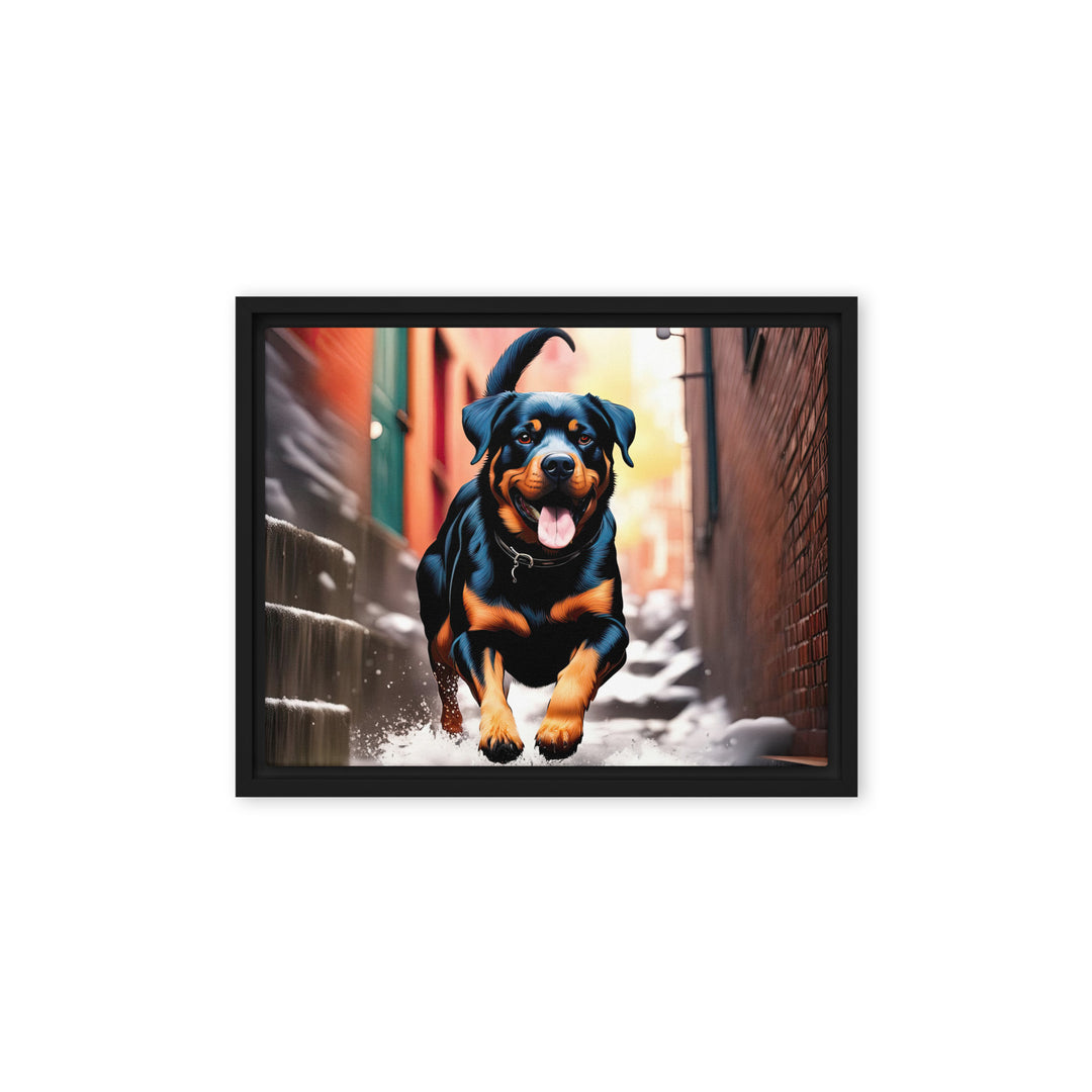 Rottweiler- Framed canvas v2